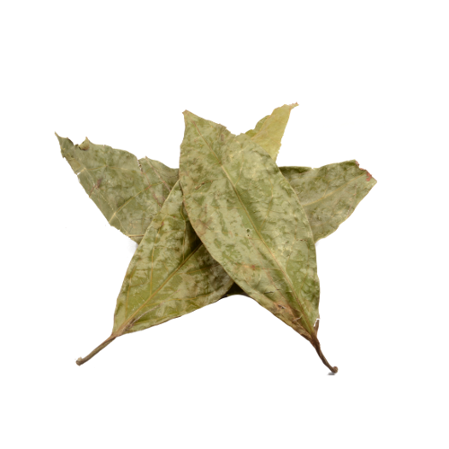 Diplopterys cabrerana - Chaliponga leaves